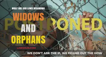 Divine Compassion: Understanding God's Laws for Widows and Orphans