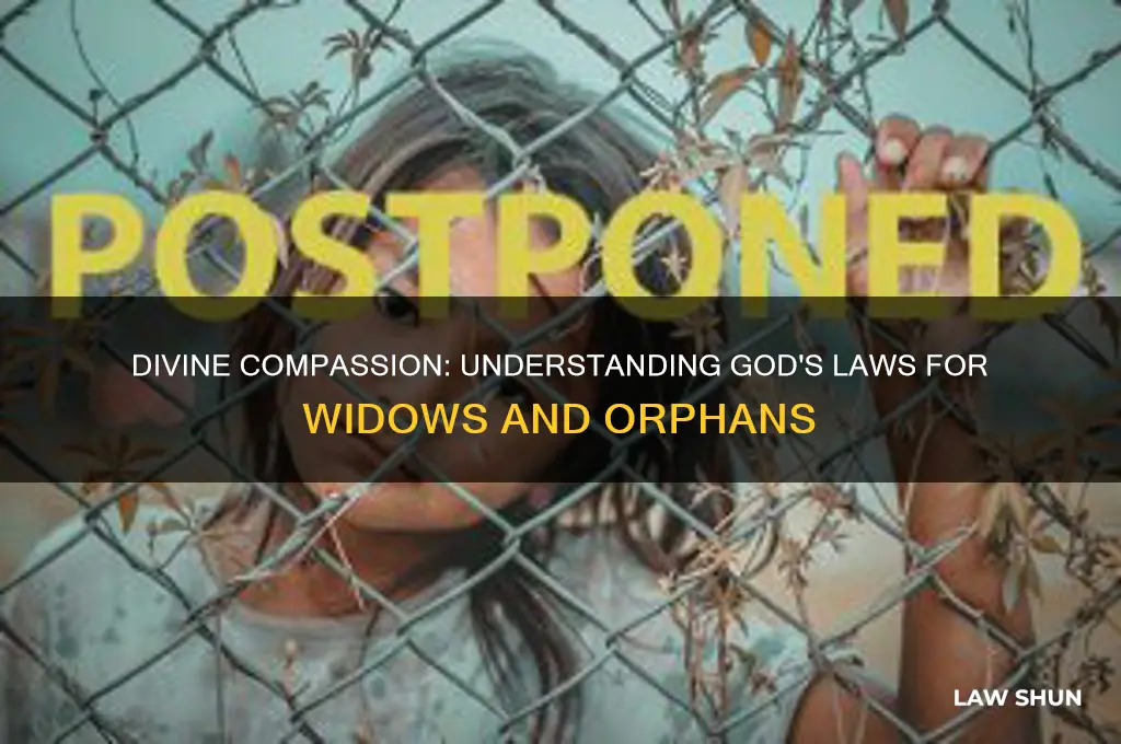 what are god laws regarding widows and orphans
