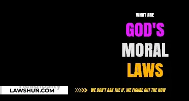 Exploring the Divine Blueprint: Understanding God's Moral Laws