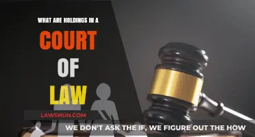 Understanding Legal Holdings: Key Concepts in Court Decisions Explained