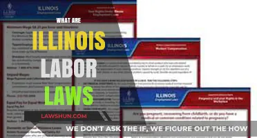 Understanding Illinois Labor Laws: Essential Rights and Regulations for Workers