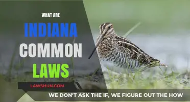 Understanding Indiana's Common Law Marriage Rules