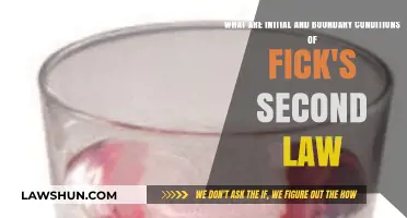 Understanding Fick's Second Law: Initial and Boundary Conditions Explained