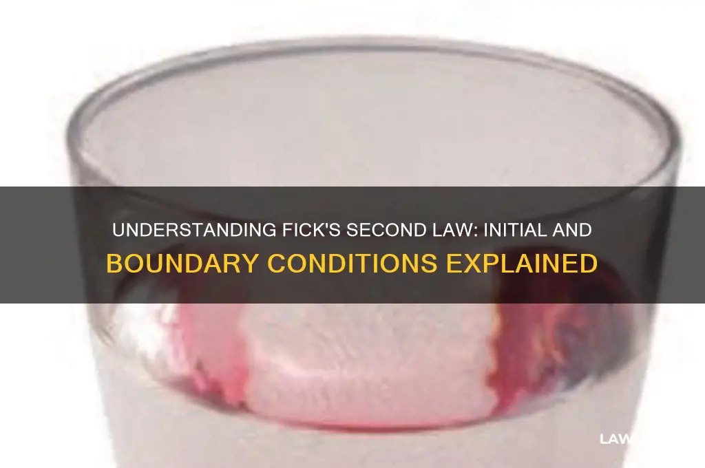 what are initial and boundary conditions of fick