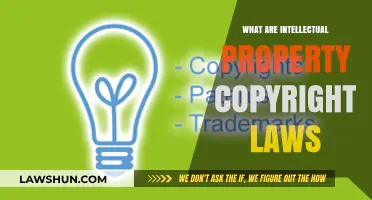 Understanding Intellectual Property Copyright Laws: A Comprehensive Guide