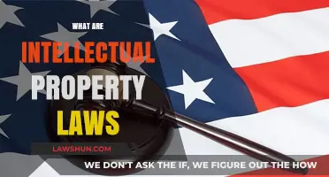 Understanding Intellectual Property Laws: Protecting Innovations and Creative Works