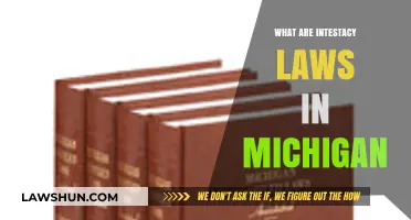 Understanding Michigan's Intestacy Laws: What Happens Without a Will?