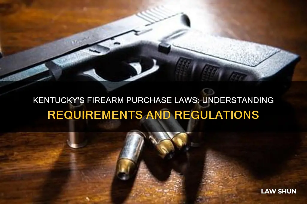what are kentuckys laws regarding purchasing a firearm