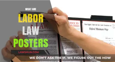 Understanding Labor Law Posters: Essential Workplace Compliance Requirements Explained