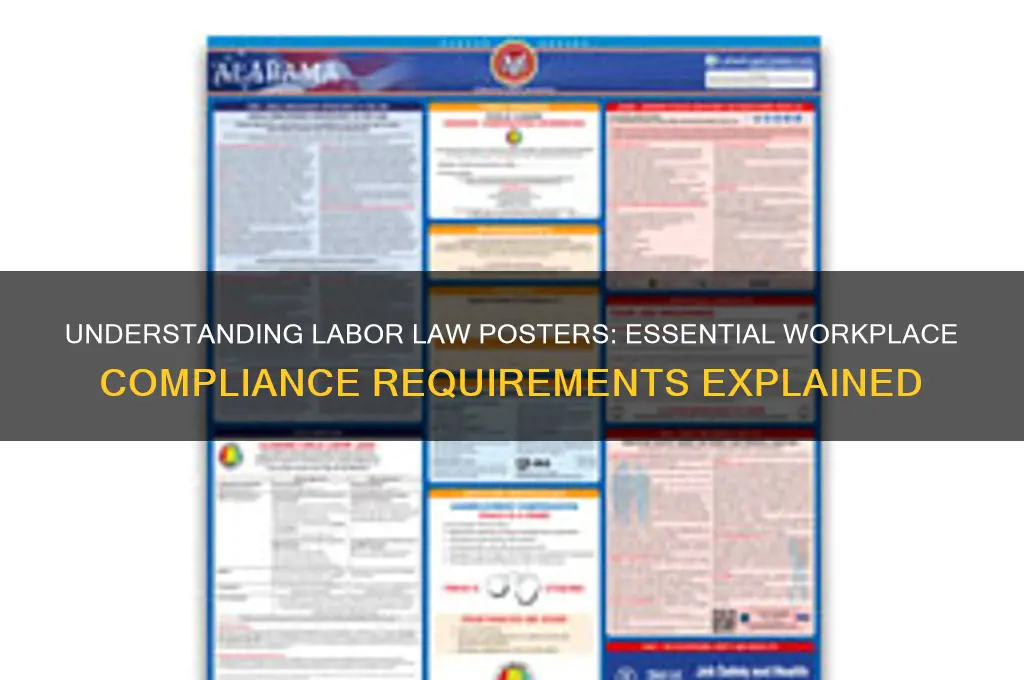 what are labor law posters