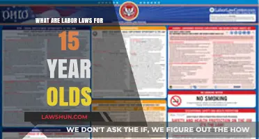 Understanding Labor Laws for 15-Year-Olds: Rights, Restrictions, and Work Guidelines