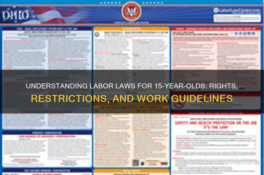 what are labor laws for 15 year olds