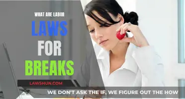 Understanding Worker Break Rights and Labor Laws