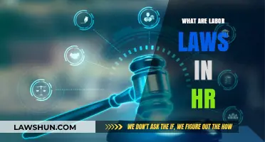 Understanding Labor Laws: Essential HR Compliance for Employers and Employees