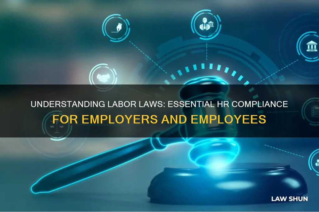what are labor laws in hr