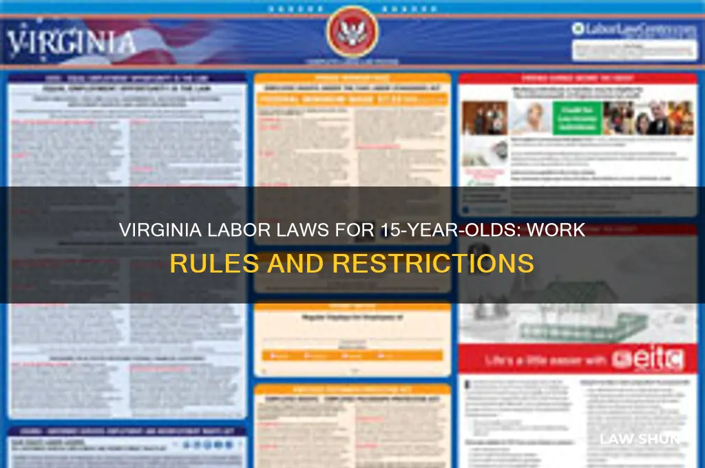 what are labor laws in virginia for 15 year olds