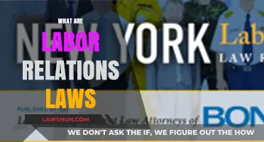 Understanding Labor Relations Laws: Rights, Responsibilities, and Workplace Harmony