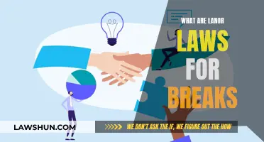 Understanding Labor Laws: Breaks and Their Importance