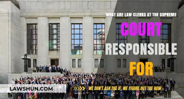 Supreme Court Law Clerks: Key Responsibilities and Impact on Justice