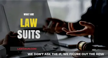 Understanding Lawsuits: Legal Battles, Rights, and Courtroom Processes Explained