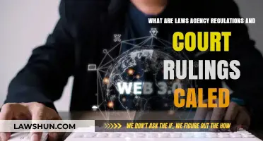 Understanding Legal Frameworks: Laws, Agency Regulations, and Court Rulings Explained