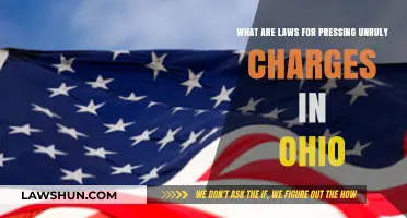 Ohio's Unruly Charges: Understanding Legal Consequences for Juvenile Behavior