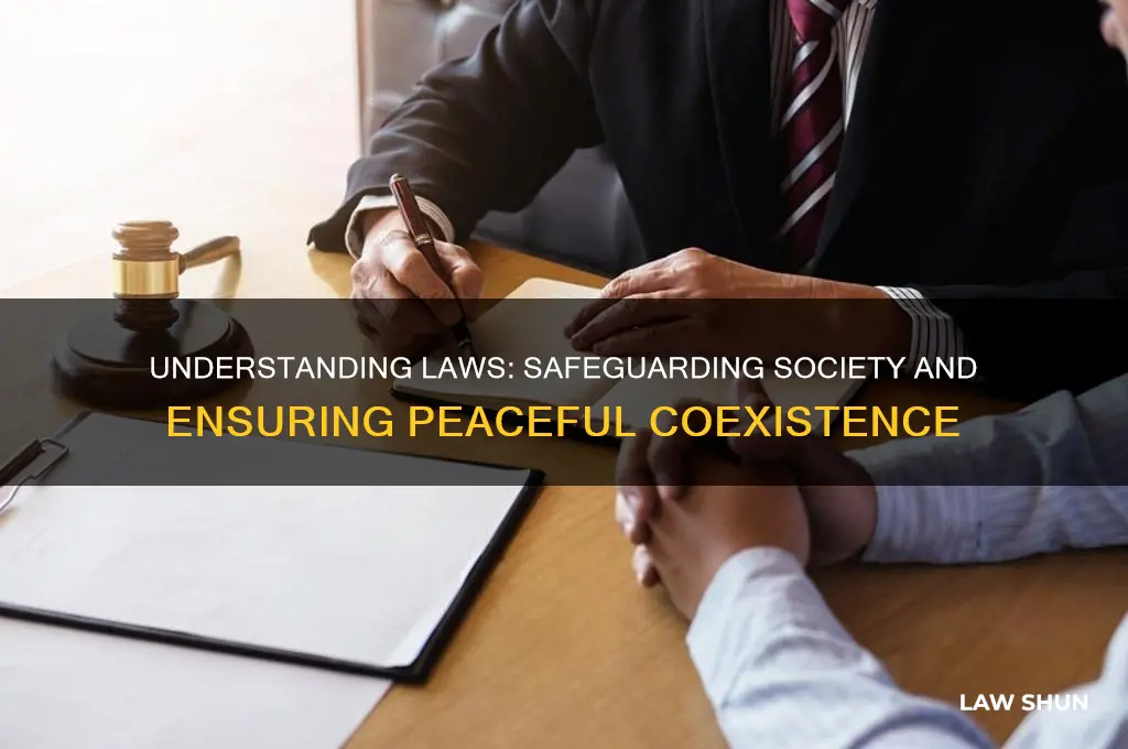 what are laws how do they help us live safely