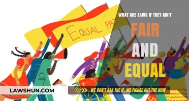 Unfair Laws: Challenging Inequality in Justice and Society