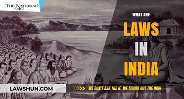 India's Legal System: Understanding the Basics