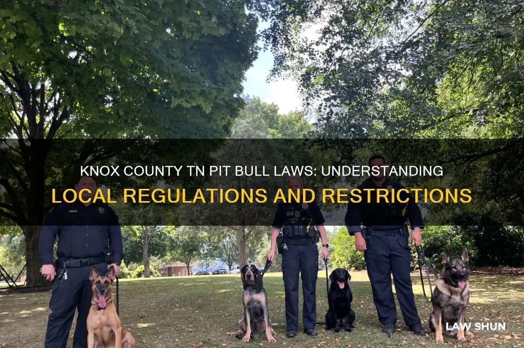 what are laws in knox county tn for pit bulbs