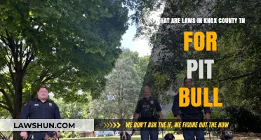 Knox County TN Pit Bull Laws: Understanding Local Breed Regulations