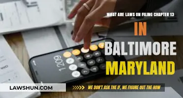 Understanding Chapter 13 Bankruptcy Laws in Baltimore, Maryland