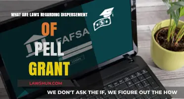 Understanding Pell Grant Disbursement Laws: Key Regulations and Guidelines