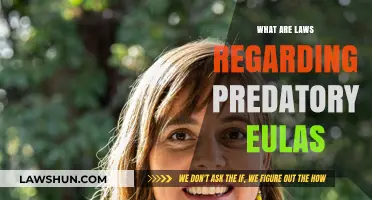 Understanding Predatory EULA Laws: Legal Protections and Consumer Rights Explained