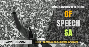 Understanding South Africa's Freedom of Speech Laws and Limitations