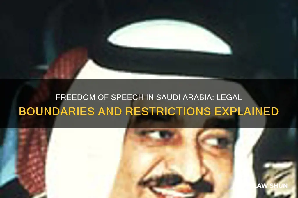 what are laws related to freedom of speech saudi arabia