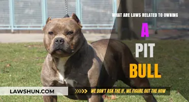 Understanding Pit Bull Ownership Laws: Legal Requirements and Restrictions