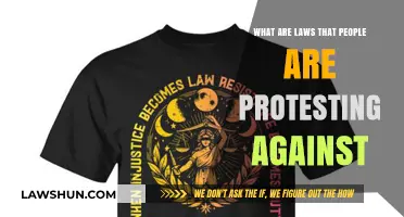 Protesting Injustice: Understanding the Laws Sparking Global Outrage and Resistance