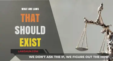 Envisioning Justice: Essential Laws for a Better Tomorrow