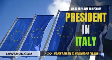 Becoming Italy's President: Understanding the Legal Requirements