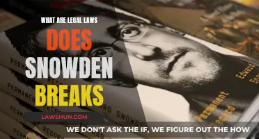 Snowden's Legal Transgressions: Breaking Laws, Exposing Secrets