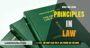 Understanding Legal Principles: The Foundation of Law and Justice