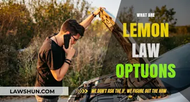 Understanding Lemon Law Options: Protecting Your Rights as a Consumer