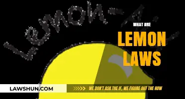 Understanding Lemon Laws: Protecting Consumers from Defective Vehicles