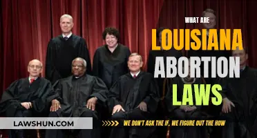 Louisiana Abortion Laws: Understanding the Current Landscape