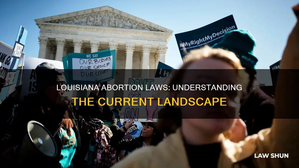 what are louisiana abortion laws