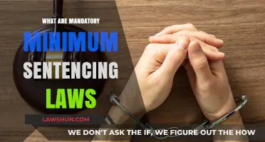 Understanding Mandatory Minimum Sentencing Laws: A Comprehensive Guide