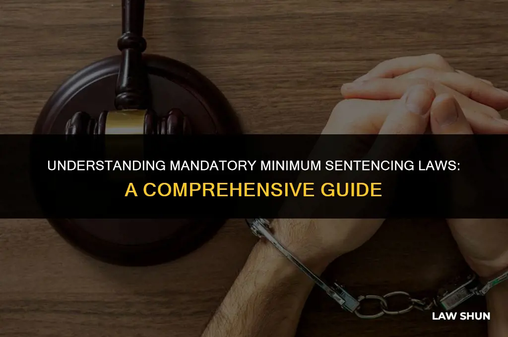 what are mandatory minimum sentencing laws