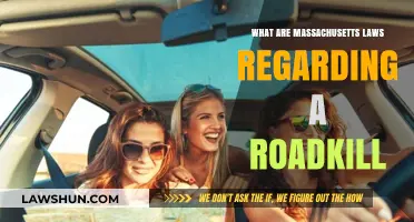 Massachusetts Roadkill Laws: What You Need to Know