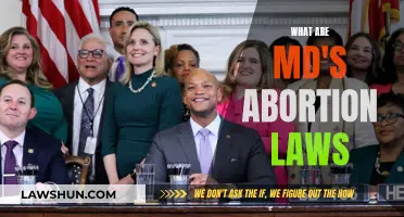 Maryland's Abortion Laws: Understanding the Current Landscape